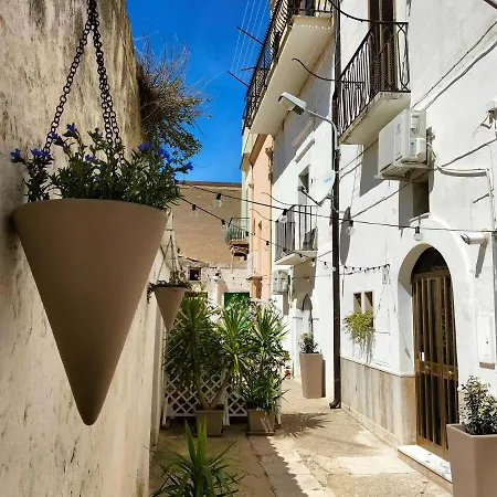 Bed & Breakfast Blue Moon Spinazzola